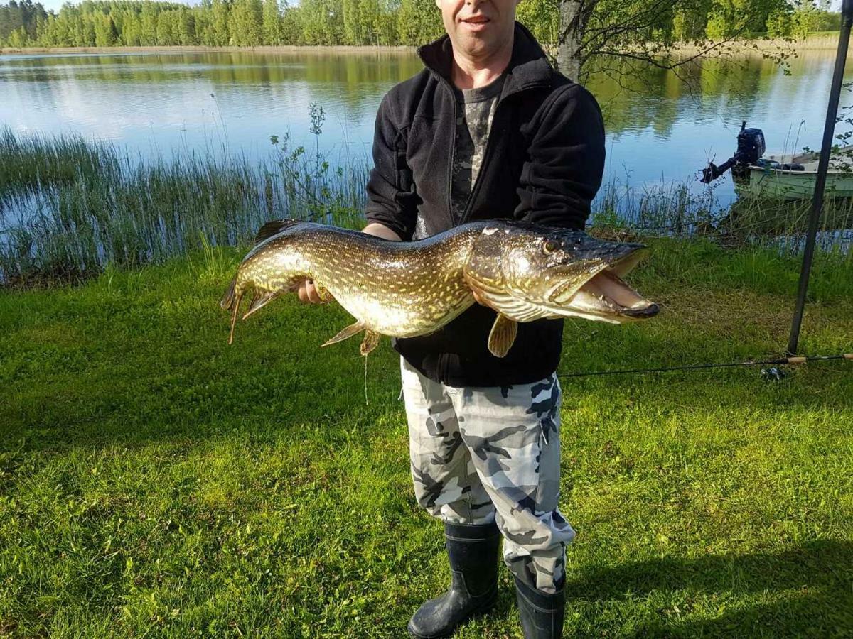 Kaijonselaen Moekit Kaita Villa Kaitainen Bagian luar foto